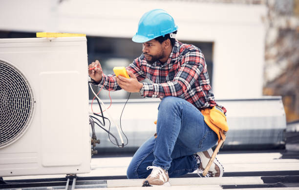 Best Home Electrical Repair  in Rock Rapids, IA