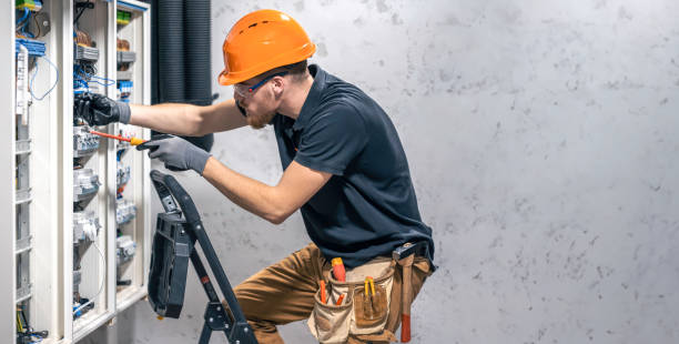 Best Electric Panel Repair  in Rock Rapids, IA